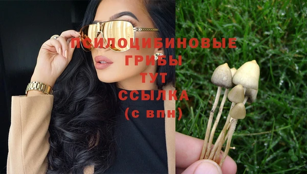 стафф Каменногорск