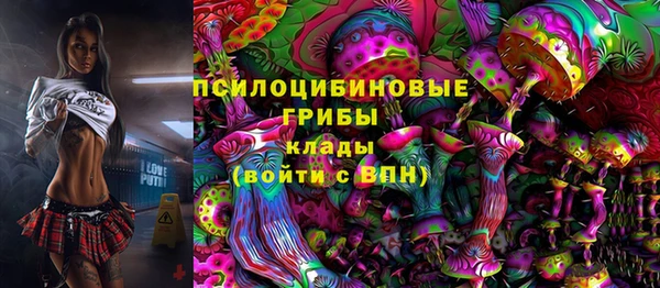 гидропоника Армянск