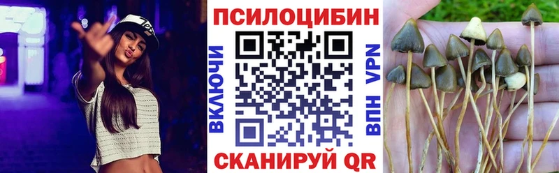 Галлюциногенные грибы ЛСД Таштагол