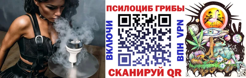 Псилоцибиновые грибы Psilocybine cubensis Таштагол